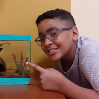 English classes testimonial Heitor dos Santos, 14